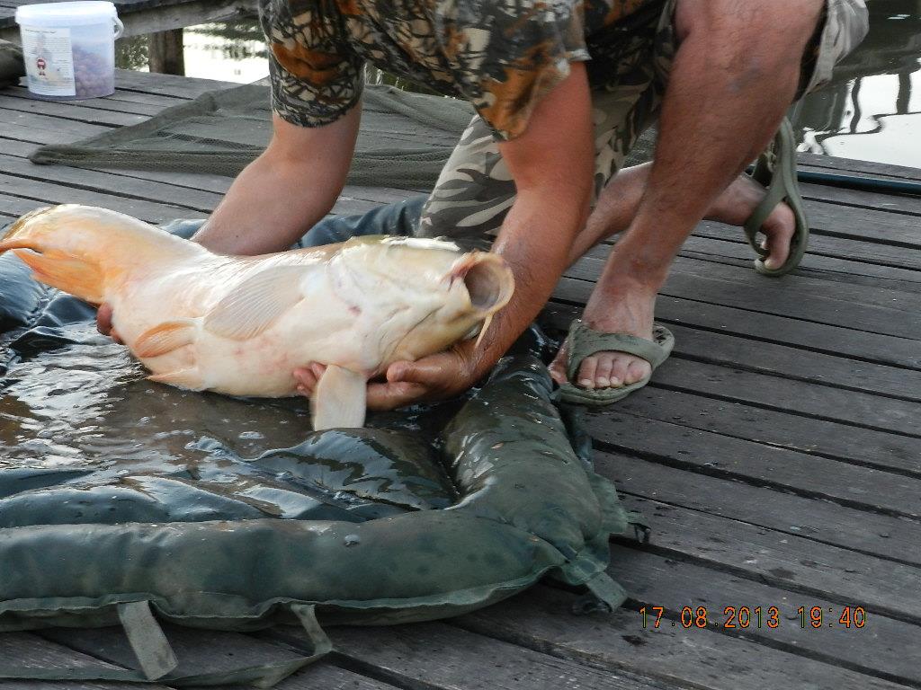 ohat 3 ungaria 17-19 august 2013 - dscn1495.JPG